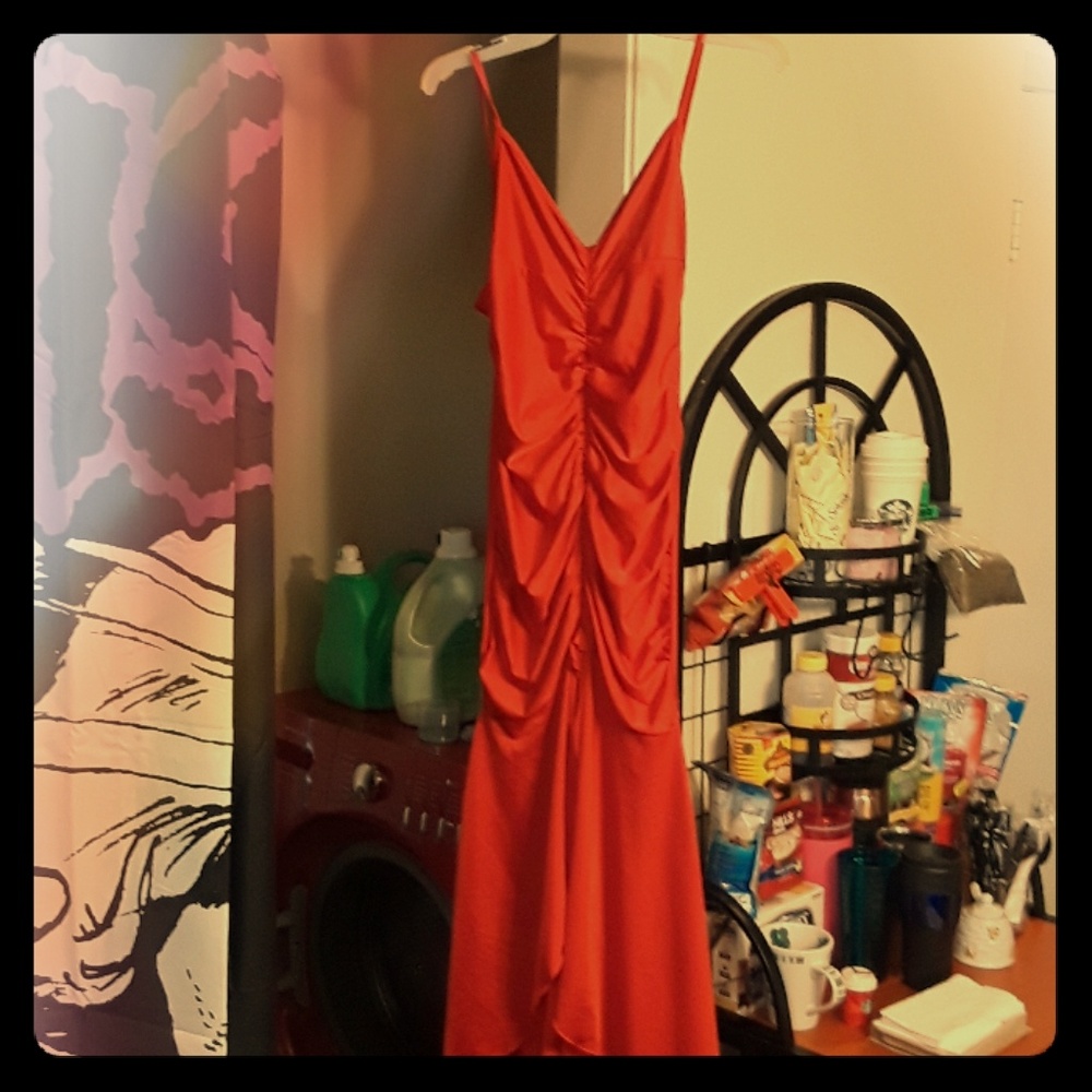 Soft Red Mermaid Dress.